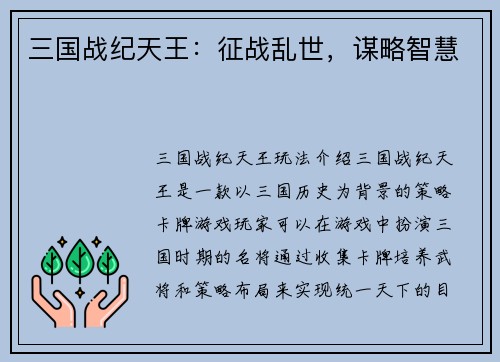 三国战纪天王：征战乱世，谋略智慧